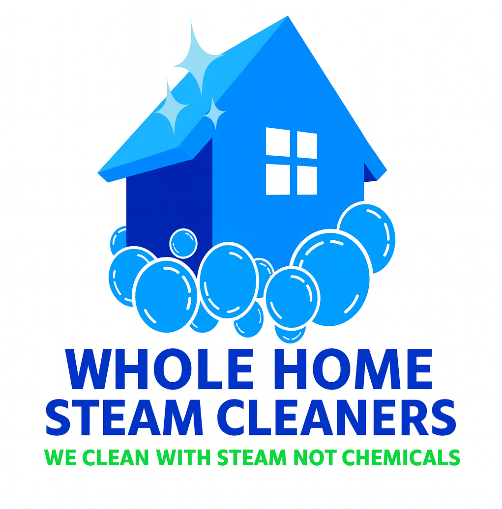 Whole Home Steam Cleaners